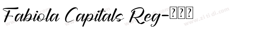 Fabiola Capitals Reg字体转换